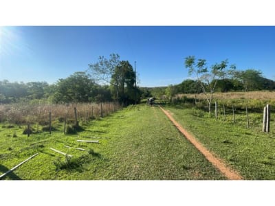 Vendo 4,5 hectáreas en Piribebuy ???????? con manantial, arroyo y pileta