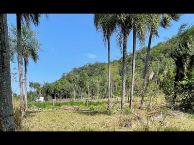 8.6 Hectáreas en Caacupé | Ideal for Agriculture & Fish Farming