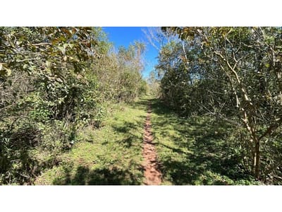 15ha/37Acre Near Mennonite Hospital Fertile Land 1h30min from Asunción