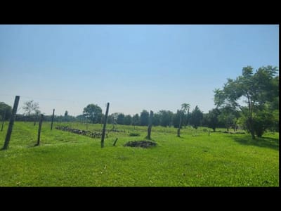 Vendo 5,5 hectareas en Caraguatay Fulgencio Yegros A 1000m del asfalto