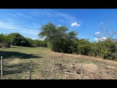 VENDO HERMOSA PROPIEDAD EN EMBOSCADA 20 hectareas A 3 km de la ruta