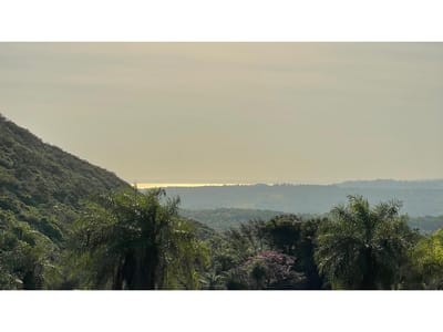 Vendo 20,3 hectáreas en Caacupe, Cordillera con agua y cerro