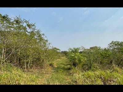 Vendo 5 hectáreas en Arroyos y Esteros - Zona San Antonio