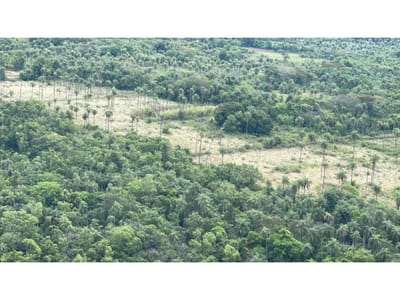 Vendo 14,6 hectáreas en Caacupé con vista al Cerro Kavaju