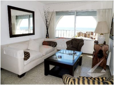 APARTAMETO EN PUNTA DEL ESTE, PENINSULA