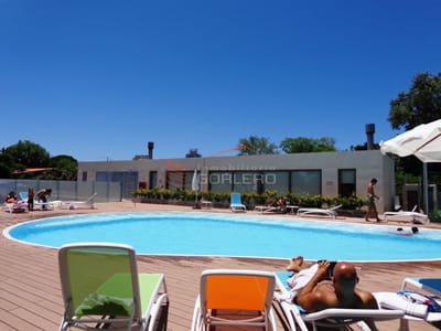 Apartamento en venta y alquiler en Punta del Este, zona de la mansa *2 dormitorios