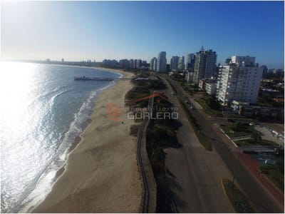 Apartamento en venta en Punta del Este, mansa Edificio frente al mar con servicios *1dormitorio