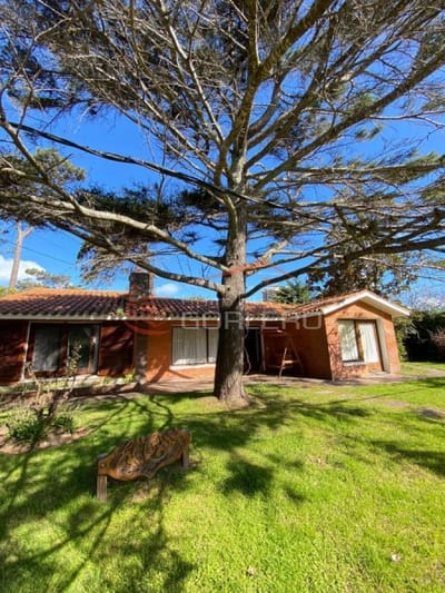 Casa en  Alquiler en Punta del Este, Mansa