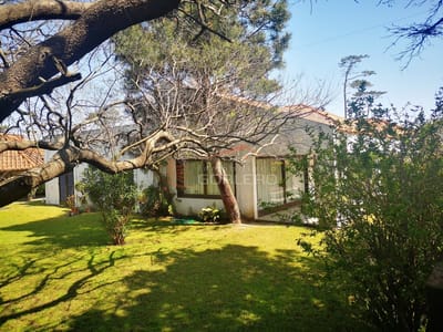 Casa de 4 dormitorios en venta y alquiler en Punta del Este, playa mansa, cerca del mar