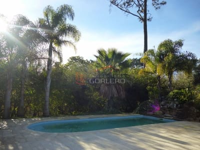 Alquiler de casa con 5 dormitorios y piscina climatizada, Punta del Este