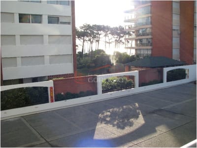 Apartamento en alquiler en Punta del Este, zona Playa Mansa