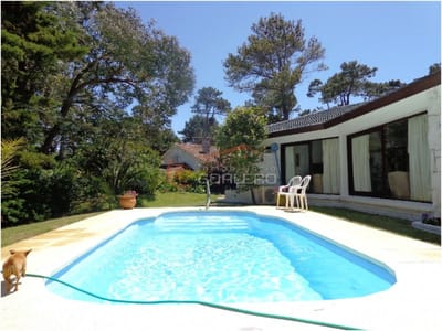 Chalet en Punta del Este, Mansa