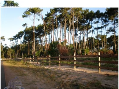 Terreno en Venta en Punta del Este, zona Pinares, Excelente lote apto para vivienda social, duplex