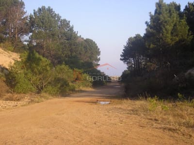 TERRENO EN PUNTA DEL ESTE, CHIHUAHUA