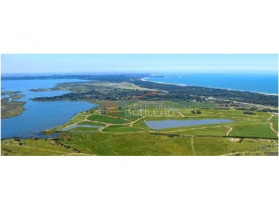 Terreno en Punta del Este, BARRIO PRIVADO:Laguna de los Cisnes