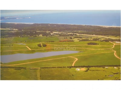 Terreno en Punta del Este, BARRIO PRIVADO:Laguna de los Cisnes