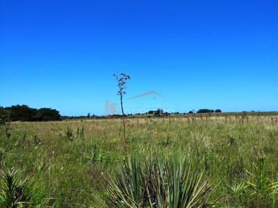 Chacra en Uruguay , Garzon