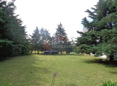 CHACRAS EN VENTA EN URUGUAY, PUNTA DEL ESTE, RUTA 12