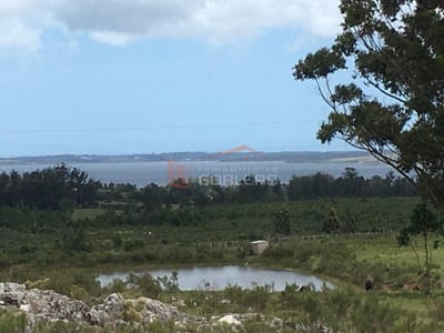 CHACRAS EN URUGUAY, PUNTA DEL ESTE, LAGUNA DEL SAUCE