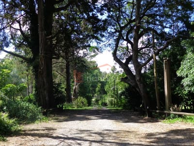 Chacra en Uruguay, Punta del Este, El Placer