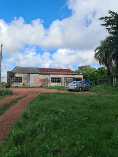Venta y alquiler de terreno de 1800 y local de 800 m2 en Maldonado, ideal para barraca, distribuidora, fraccionar, construir en altura