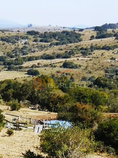 Venta de chacra a 17 km de Pueblo Edén y poca  distancia de Ruta 12, muy panorámica