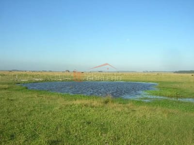 CHACRA  EN URUGUAY  ROCHA-LA PALOMA,