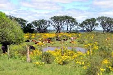 Campo - Chacra en Uruguay, Ruta 12, Pueblo Edén