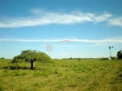 Chacra en Uruguay, Ruta 12,  próxima a Pueblo Edén con Arroyo y forestación autóctona.