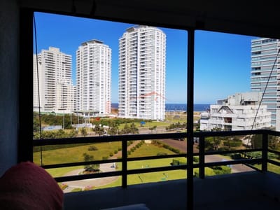 Apartamento en Punta del Este, Brava