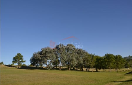 Terreno en Punta del Este, Chacras del Pinar, Camino Lussich