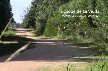 Terreno en Venta en  Rocha, zona de Punta del Diablo, Bosque de La viuda