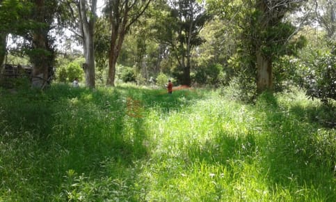 Terreno en Venta en  Punta del Este, Sauce de Portezuelo