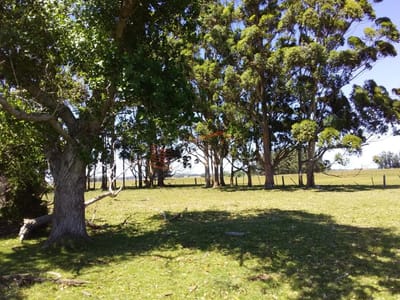 Chacra en Rocha, Importante baja de Precio!,