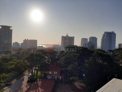 Apartamento en Punta del Este , Zona Brava