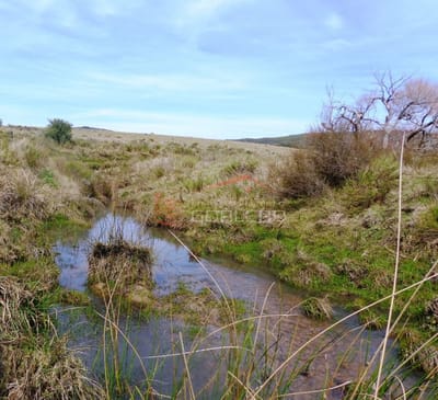Chacra en Punta del Este, Ruta 12 antes de llegar a Pueblo Edén