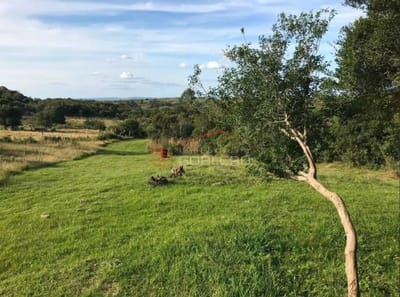 Chacra en Uruguay, Rocha