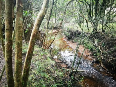 Chacra en venta en Ruta 12, La Pataia
