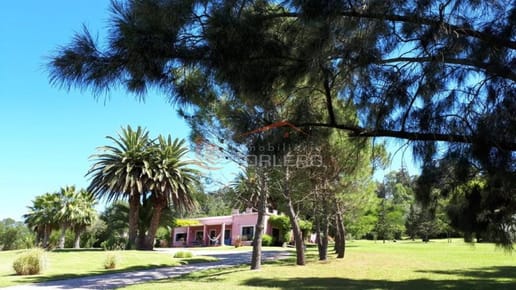 La chacra que siempre soñaste en zona de La Pataia norte,  ruta 12 que va a Pueblo Eden, con 2 casas... a pocos Kms de Punta del Este