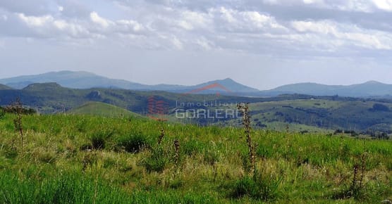 17 Has, Vistas serranas, monte nativo, arroyo y a 1 hora de Mdeo...