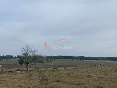 Chacra en Uruguay, Manantiales, Ruta 104, venta chacra con mejoras!