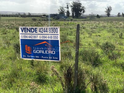 Chacra 5 Has José Ignacio, sobre Ruta 9, tajamar, ubicación y entorno increible