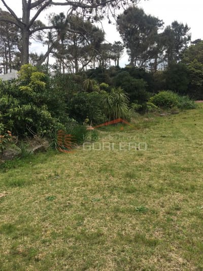 Terreno en Venta en Punta del Este, Pinares a 1 del mar