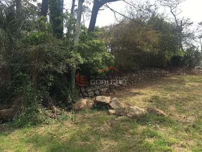 VENTA TERRENO PINARES