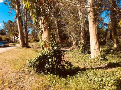 EN VENTA ESPECTACULAR TERRENO ESQUINERO EN PUNTA DEL ESTE