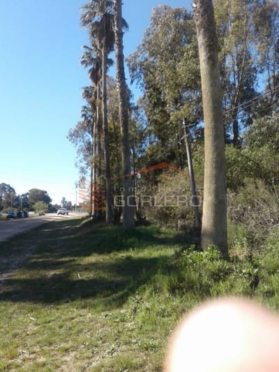 Venta de terreno en Punta del Este, Sauce de Portezuelo 2 lotes en calle principal