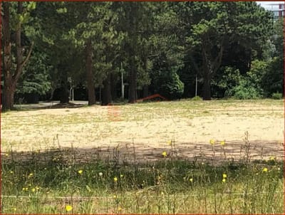 Terreno en Venta en Punta del Este, zona Cantegril, Espectacular fracción con lotes desde 1000 m² a 6000 m²