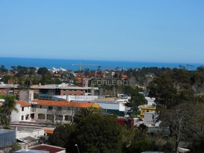 Apartamento en venta a pasos del Centro de Maldonado - Piso Alto