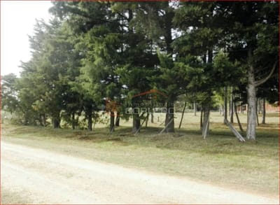 Terreno en Venta en Pueblo Edén , Ruta 12-No se lo pierda!!! Ideal varios Emprendimientos, 3100 m²