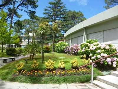 Apartamento en Venta en Punta del Este, Mansa a 300 mts de la playa en muy lindo complejo con servicios